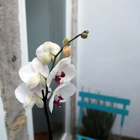 Santo Amaro's House 아파트 리스본